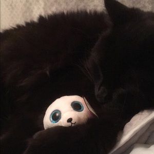 Meet your Posher, Natalie